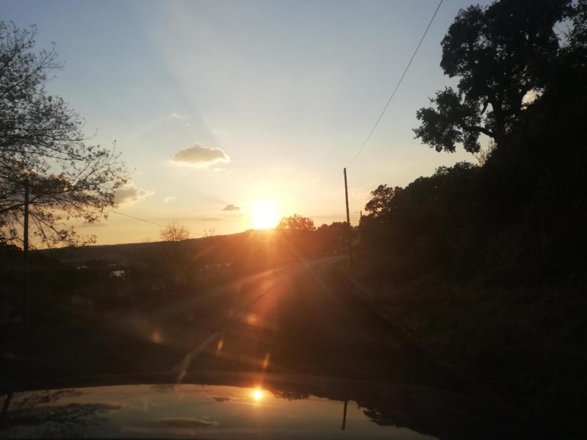 Casinha De Nogueirinha Villa Macedo de Cavaleiros Buitenkant foto